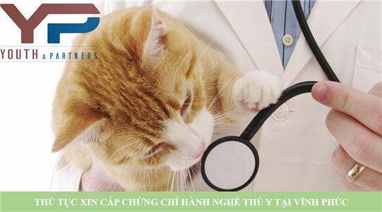 Thủ tục xin cấp chứng chỉ hành nghề thú y tại Vĩnh Phúc